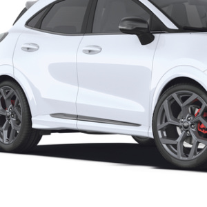 Platišče iz lahke zlitine 19" s 5 kraki, mat